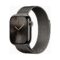 Apple Watch (Series 10 2024) Gps +Cellular 46mm Slate Titan με Slate Milanese Loop M/L EU