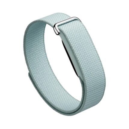 Google Pixel Watch Fitbit Air Fog EU